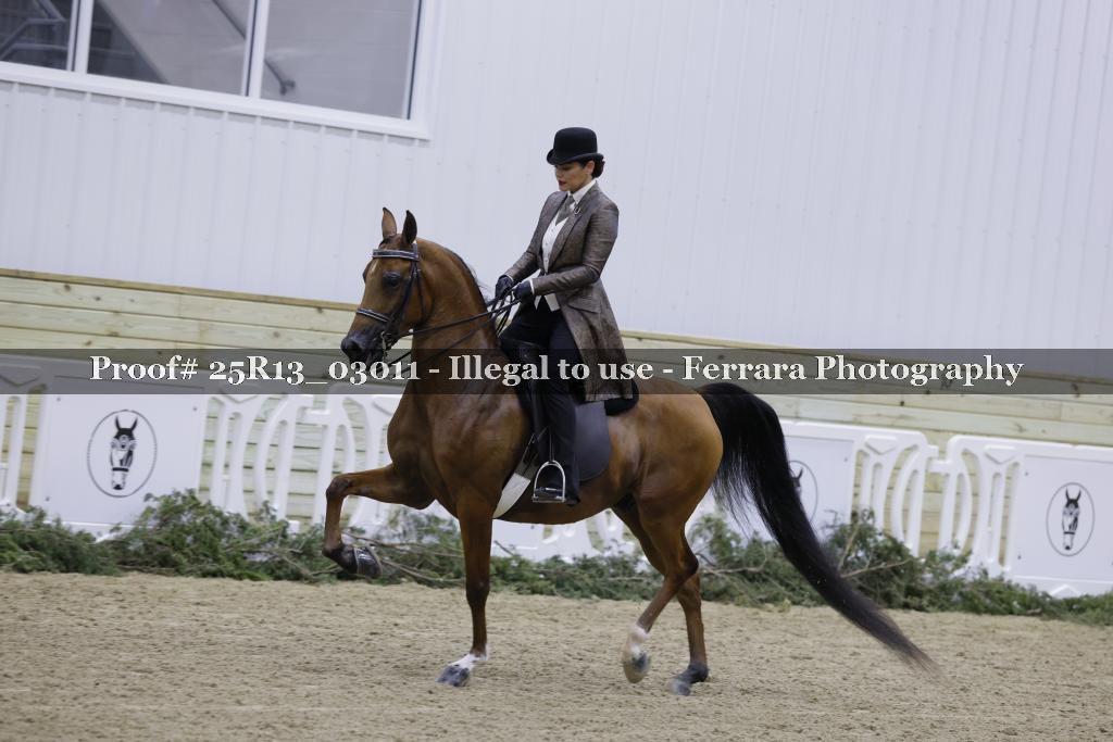 Proof 25R13_03011