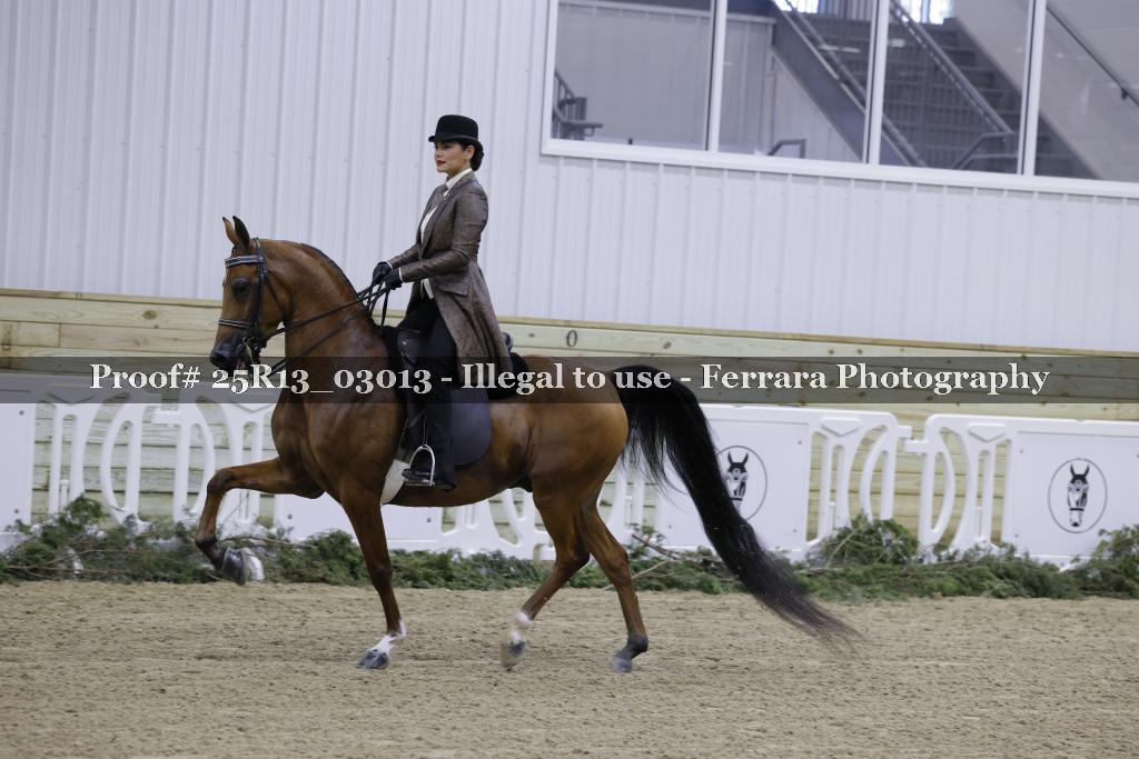 Proof 25R13_03013