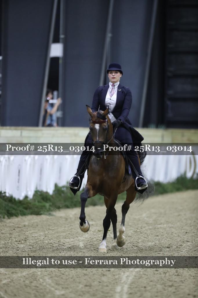 Proof 25R13_03014
