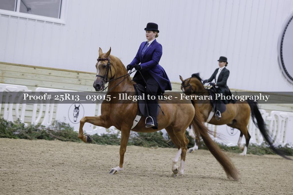 Proof 25R13_03015