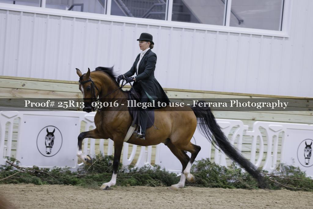 Proof 25R13_03016