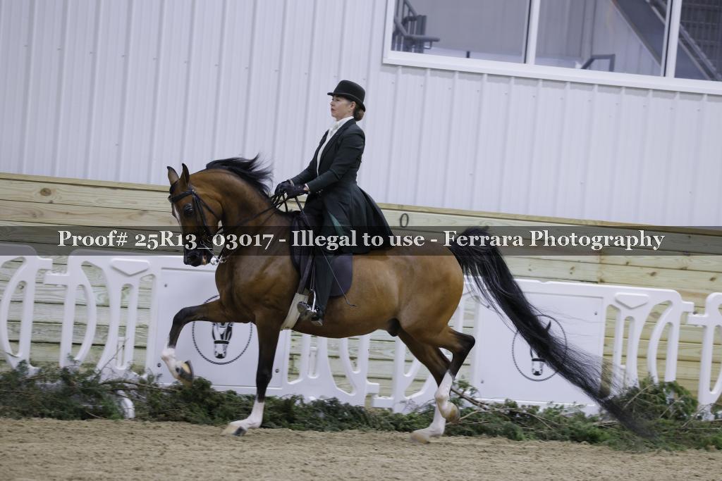 Proof 25R13_03017