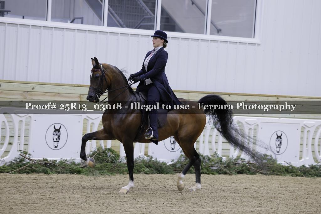 Proof 25R13_03018