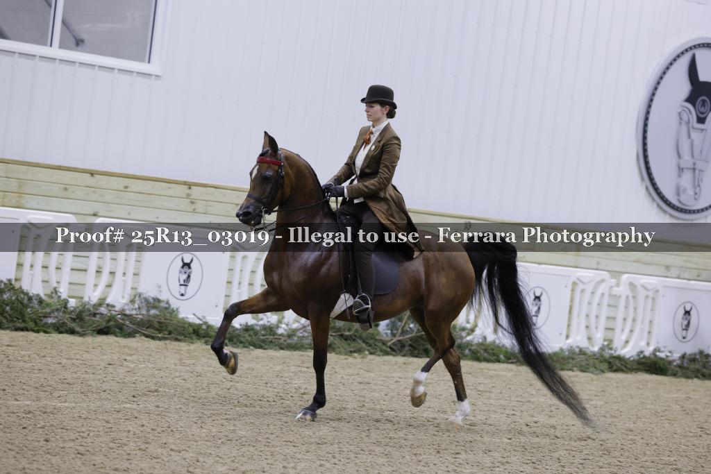 Proof 25R13_03019