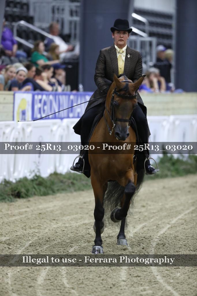Proof 25R13_03020