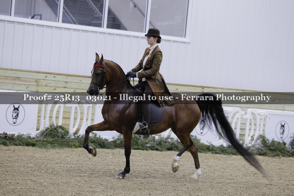 Proof 25R13_03021