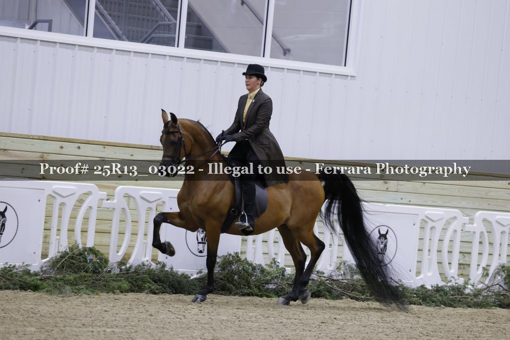 Proof 25R13_03022