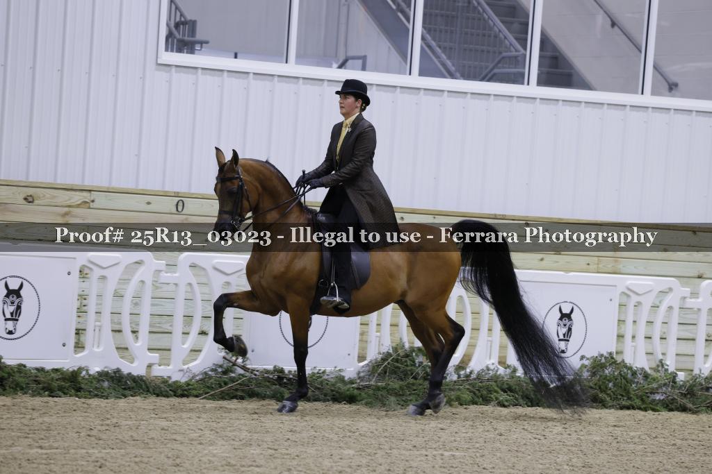Proof 25R13_03023