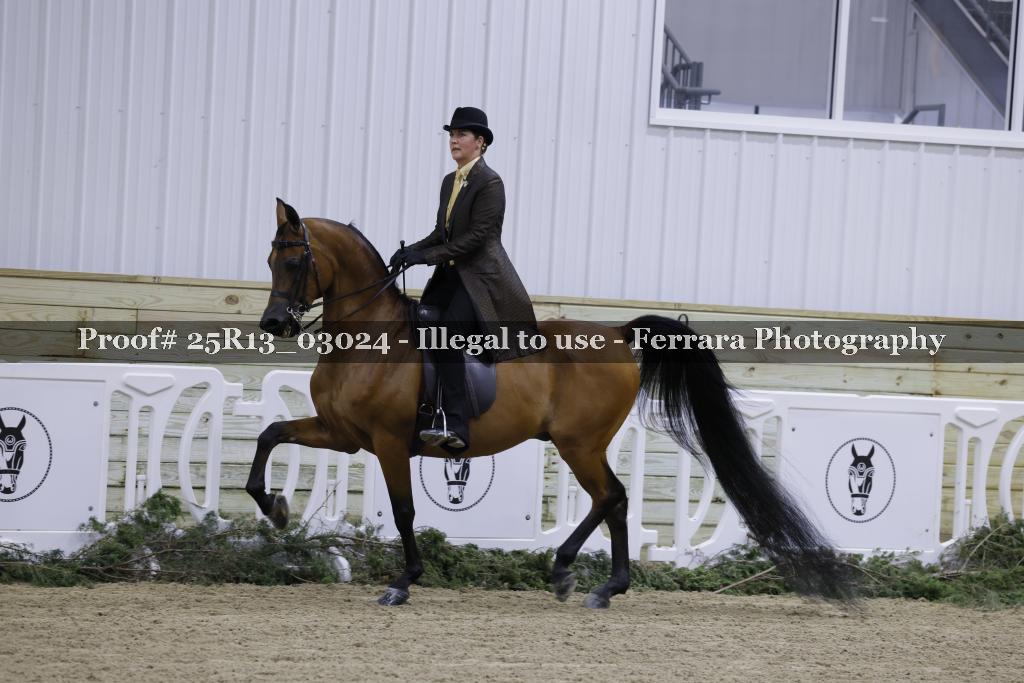 Proof 25R13_03024