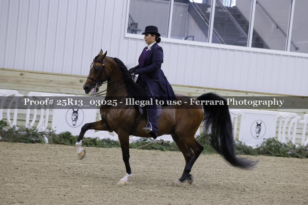 Proof 25R13_03025