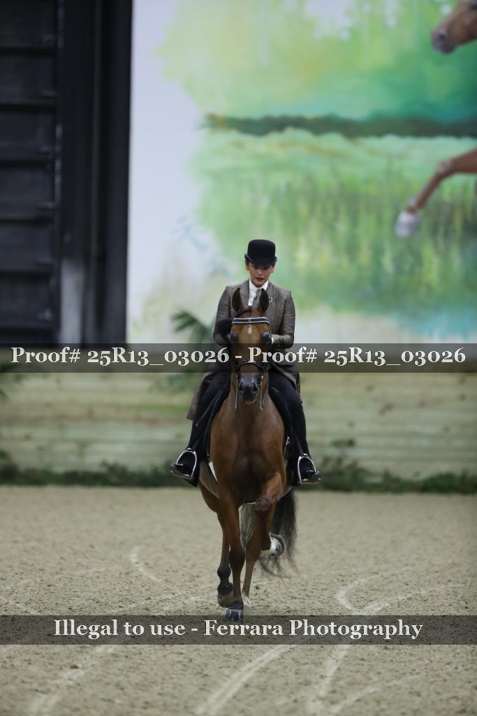 Proof 25R13_03026