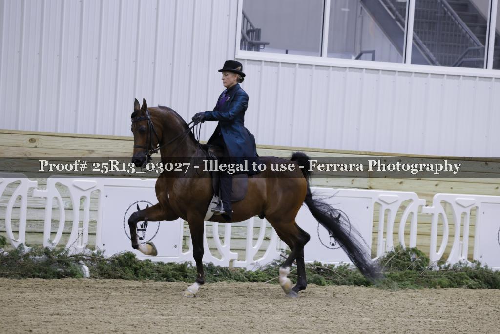 Proof 25R13_03027