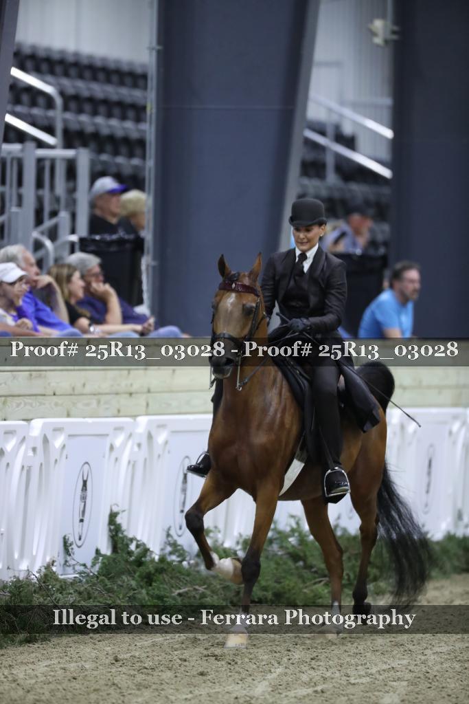 Proof 25R13_03028