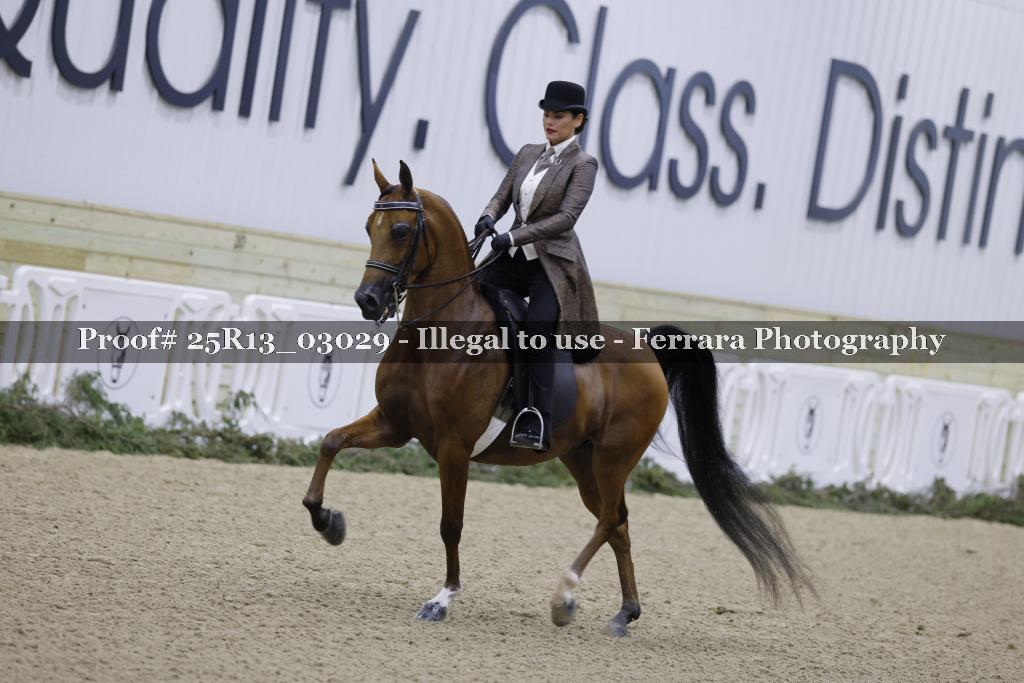 Proof 25R13_03029