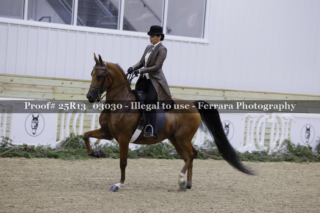 Proof 25R13_03030