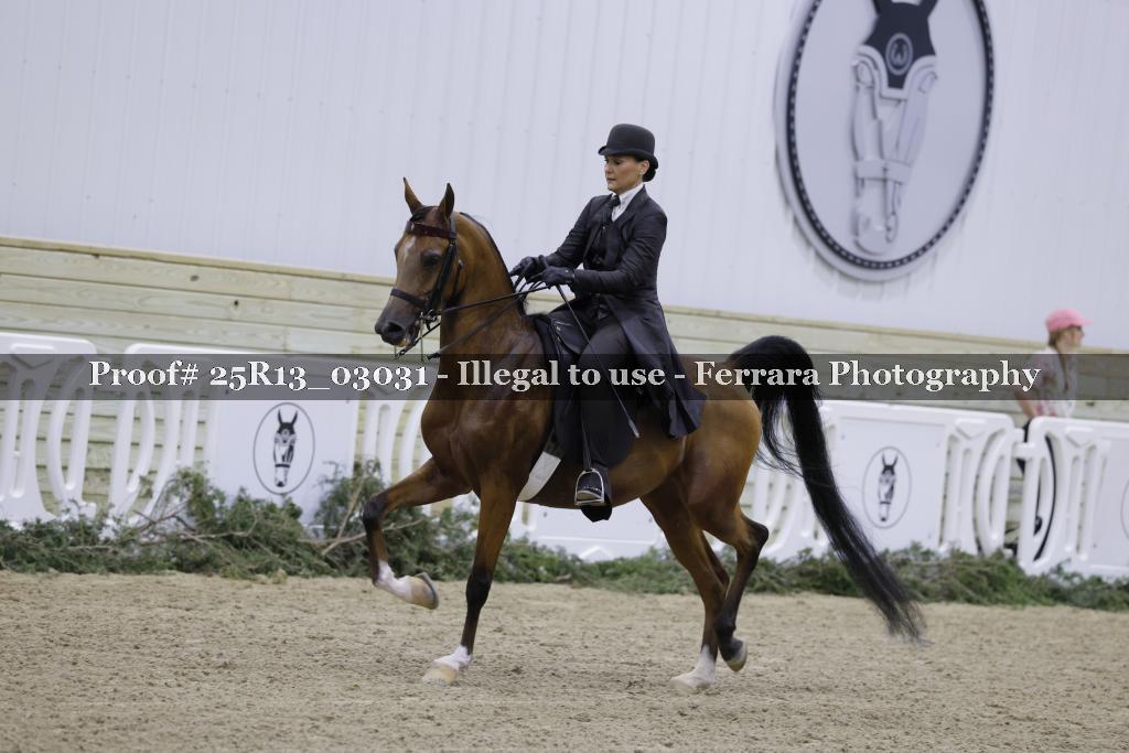 Proof 25R13_03031