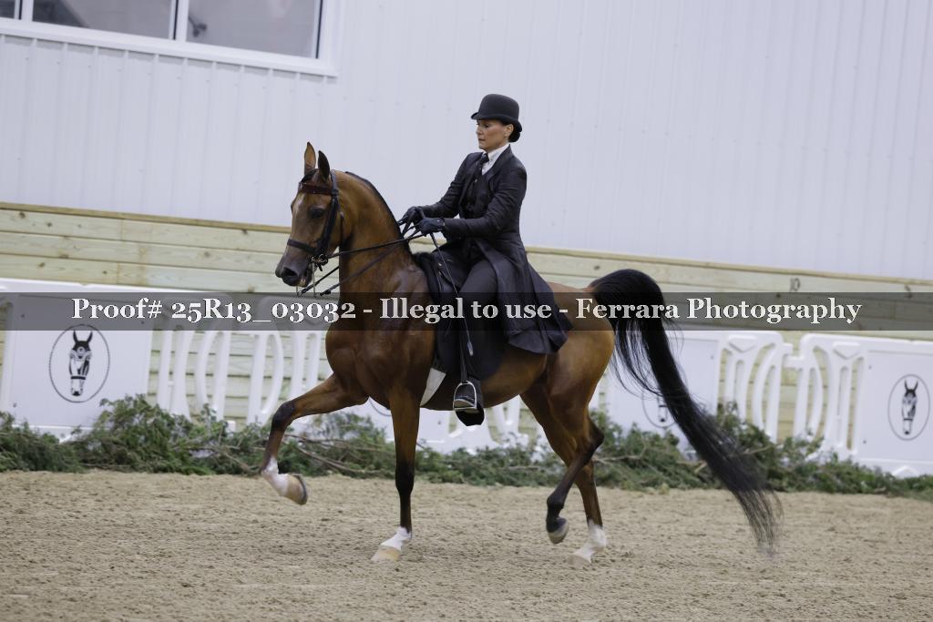 Proof 25R13_03032