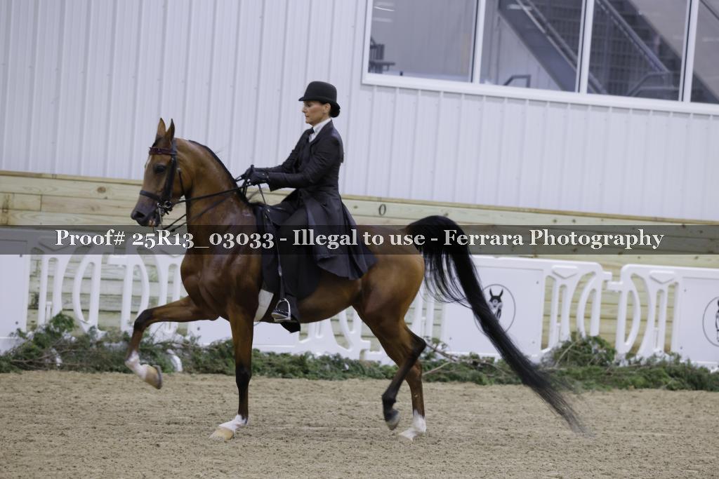 Proof 25R13_03033