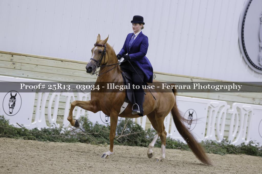 Proof 25R13_03034