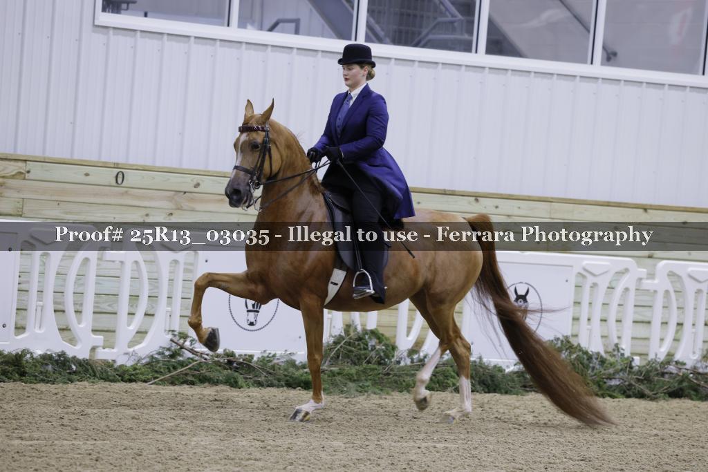Proof 25R13_03035