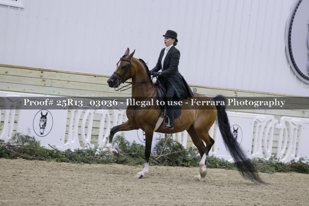Proof 25R13_03036