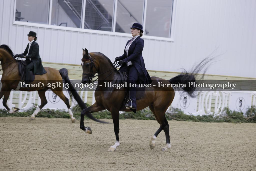 Proof 25R13_03037