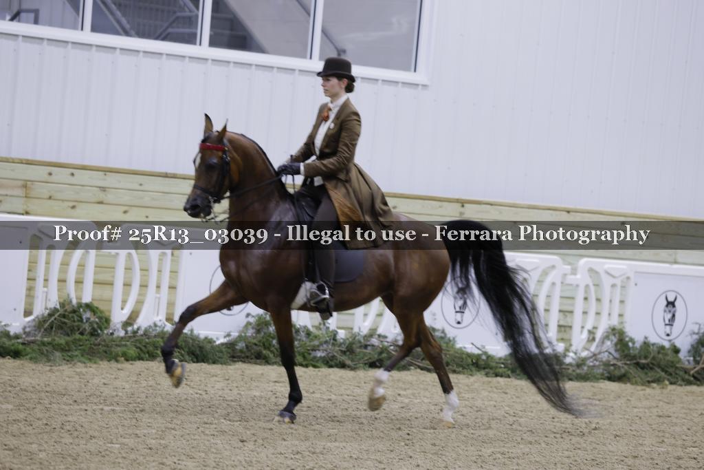 Proof 25R13_03039