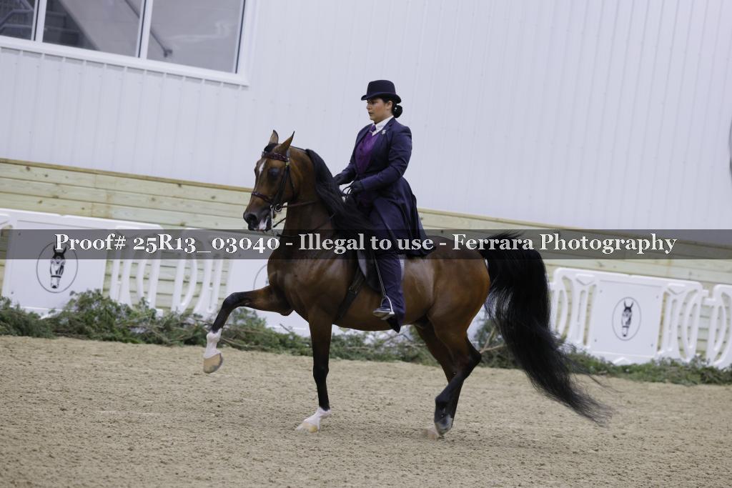 Proof 25R13_03040