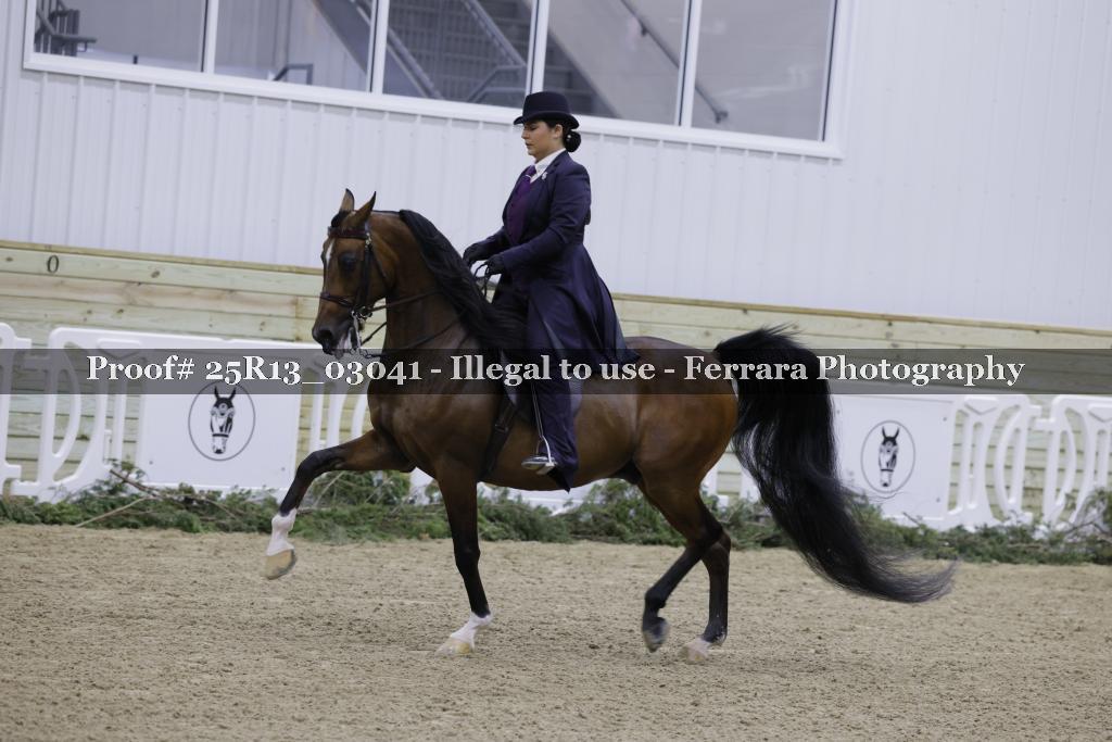Proof 25R13_03041
