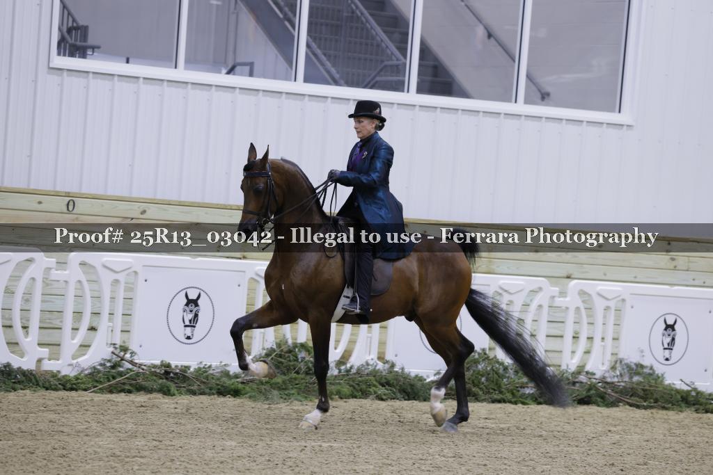 Proof 25R13_03042