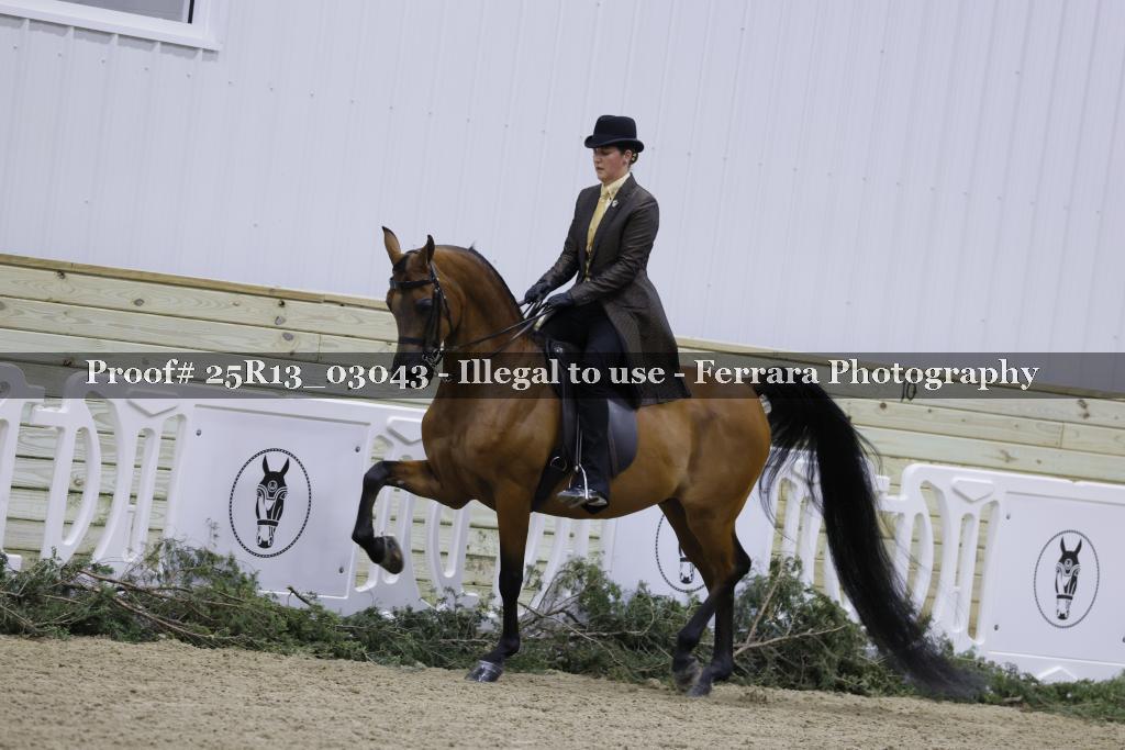 Proof 25R13_03043