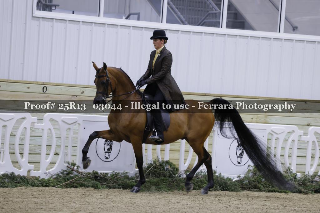 Proof 25R13_03044