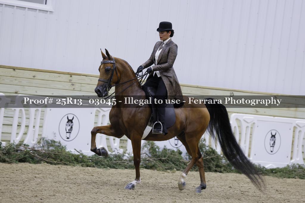 Proof 25R13_03045