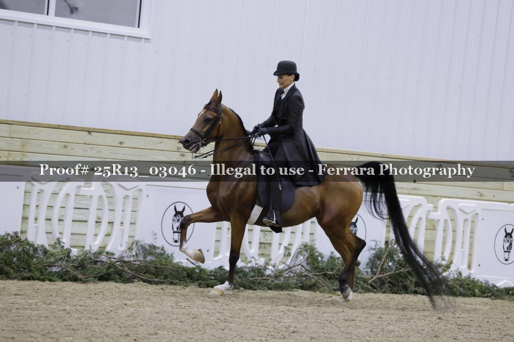 Proof 25R13_03046