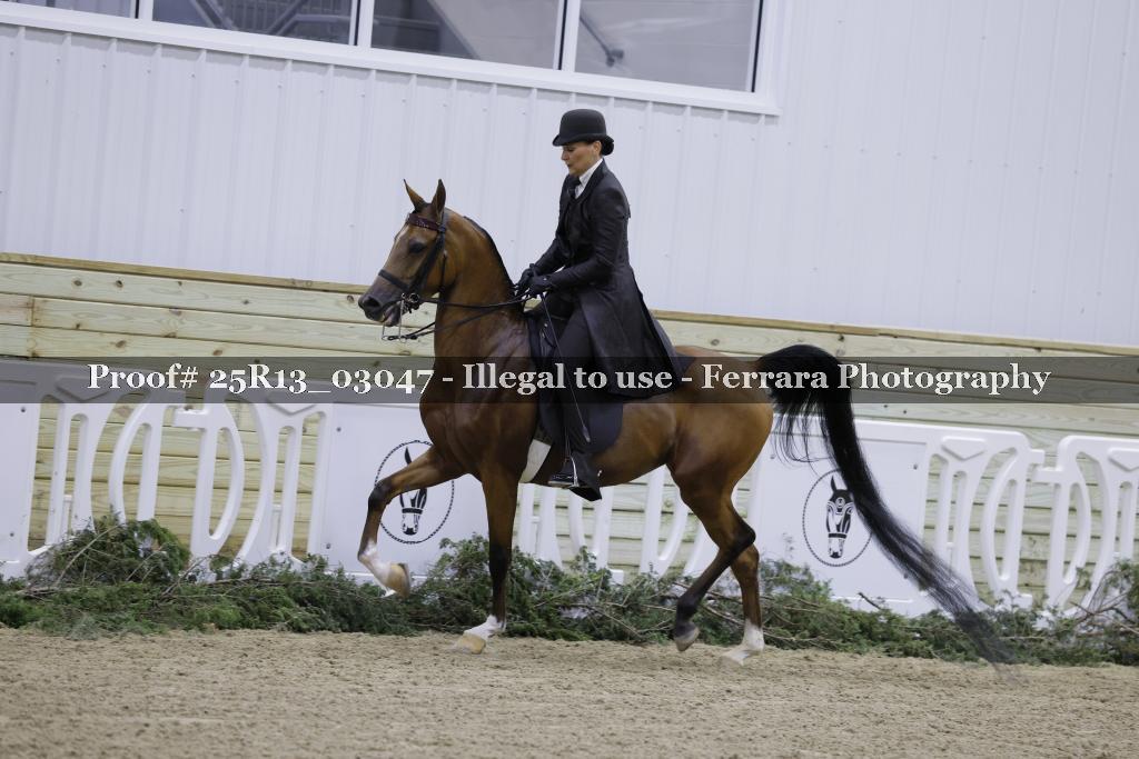 Proof 25R13_03047