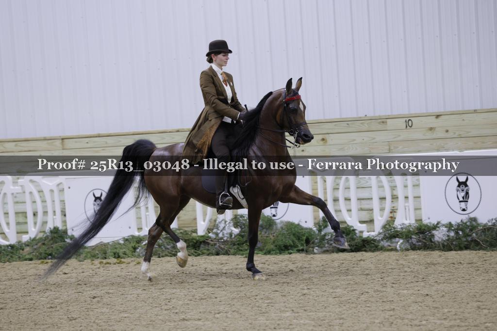 Proof 25R13_03048