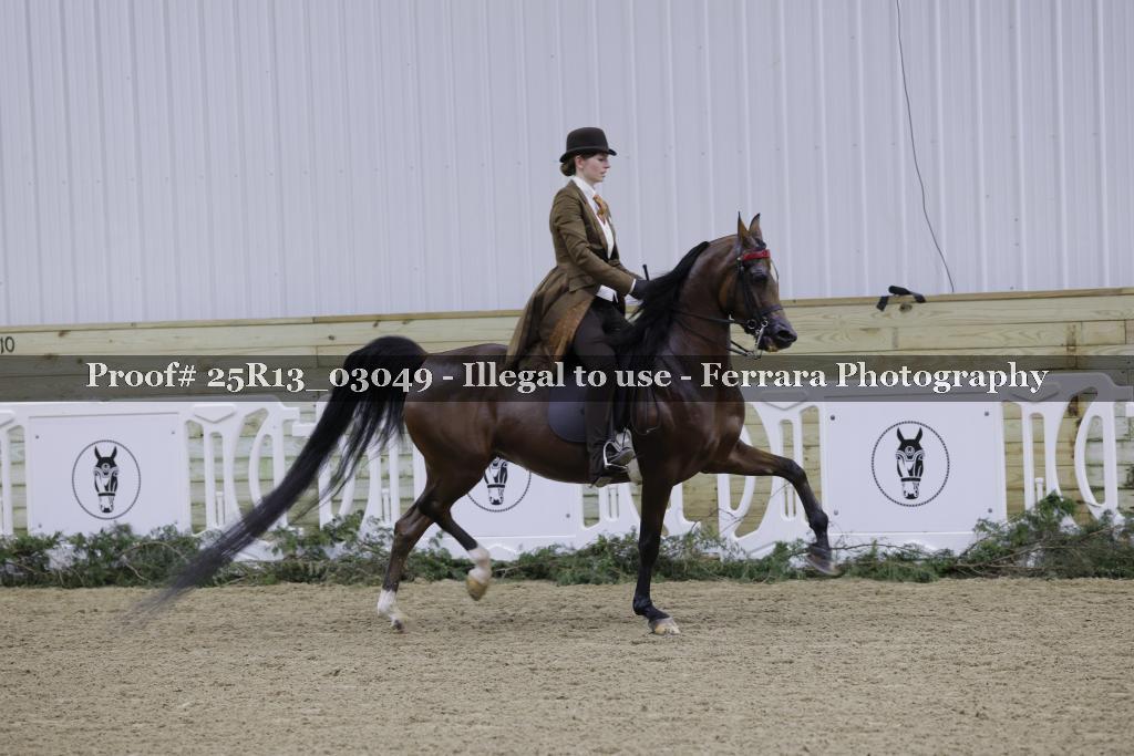 Proof 25R13_03049