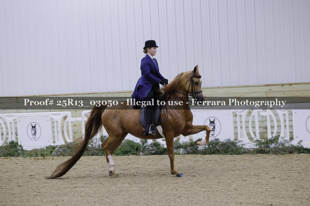 Proof 25R13_03050