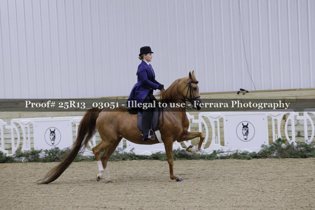 Proof 25R13_03051