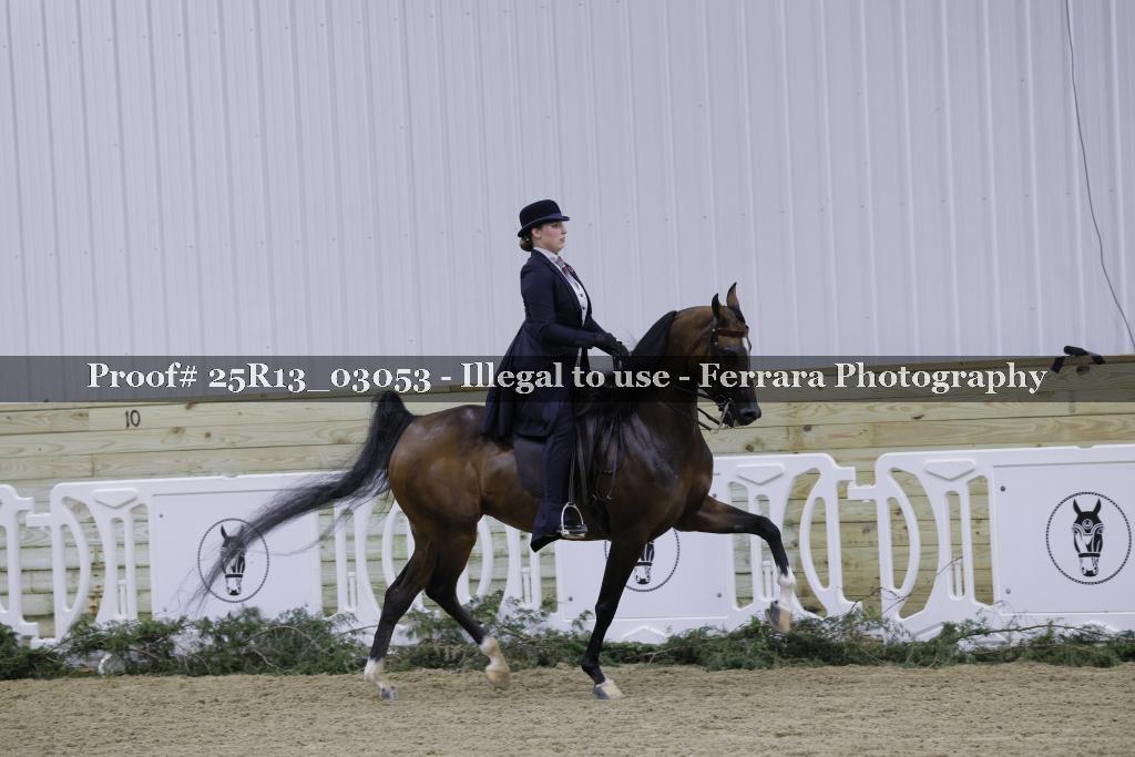 Proof 25R13_03053