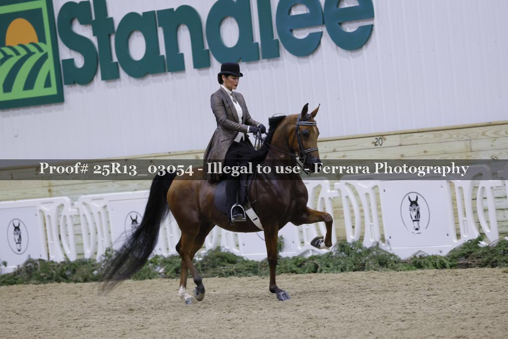 Proof 25R13_03054