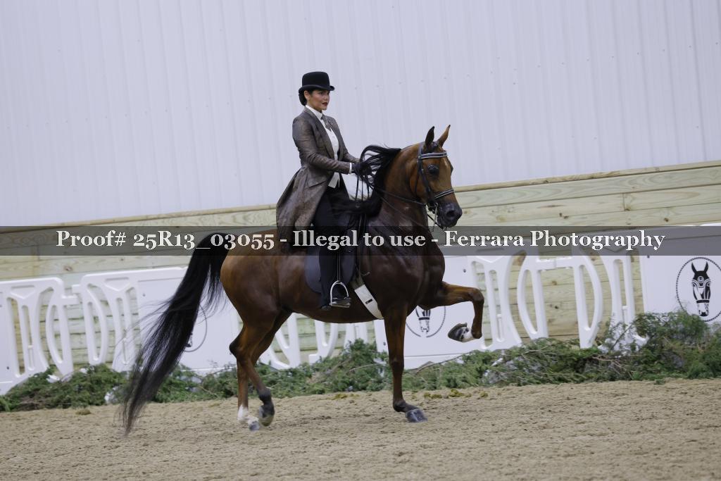 Proof 25R13_03055