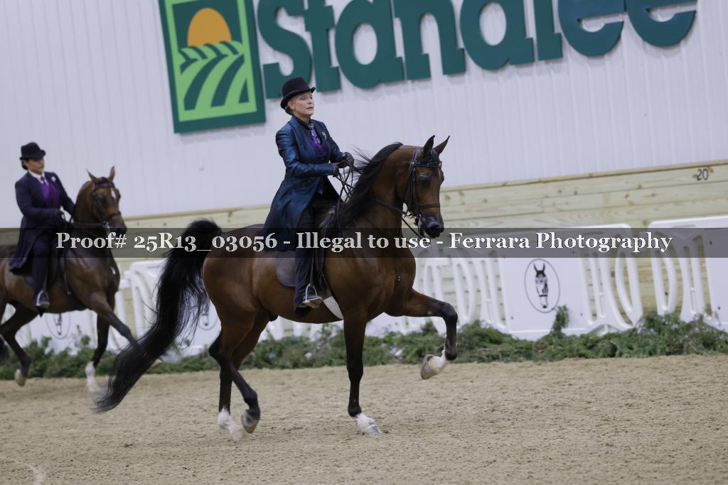 Proof 25R13_03056