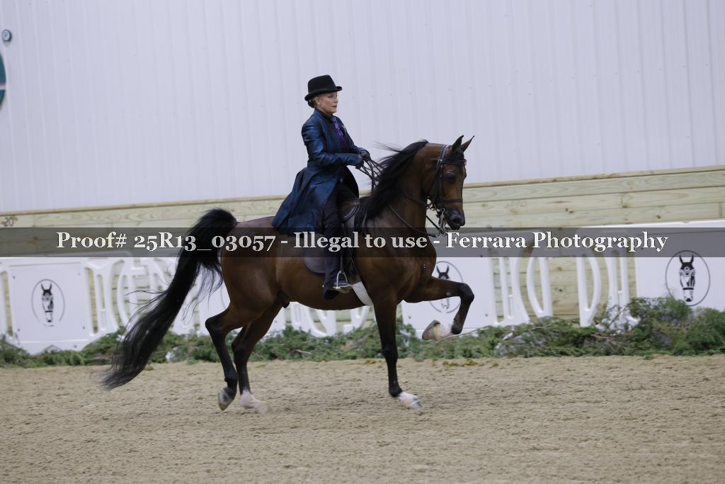 Proof 25R13_03057