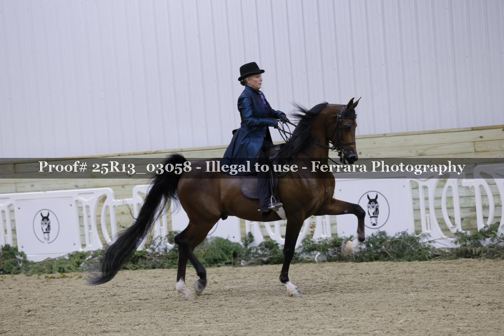 Proof 25R13_03058
