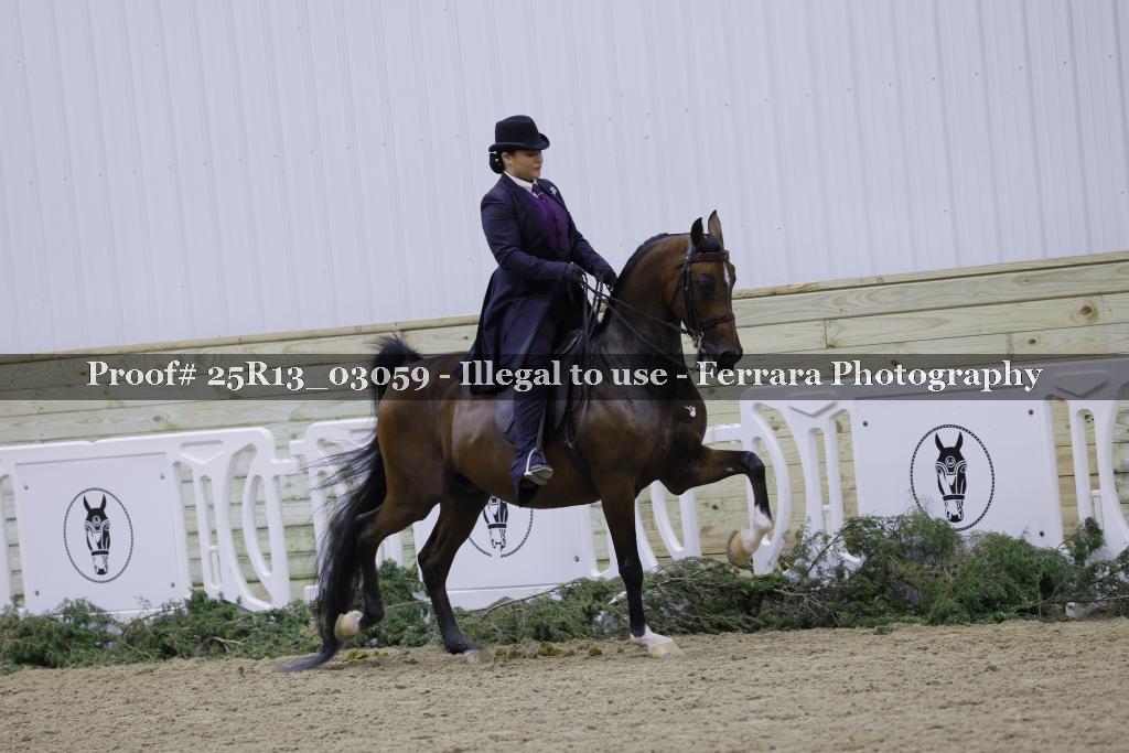 Proof 25R13_03059