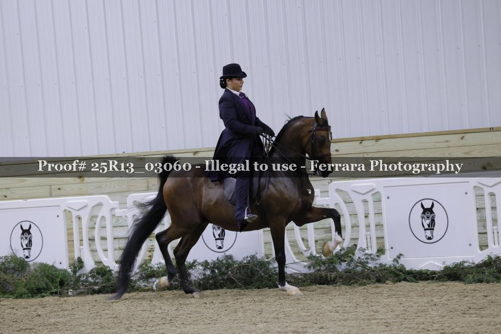 Proof 25R13_03060