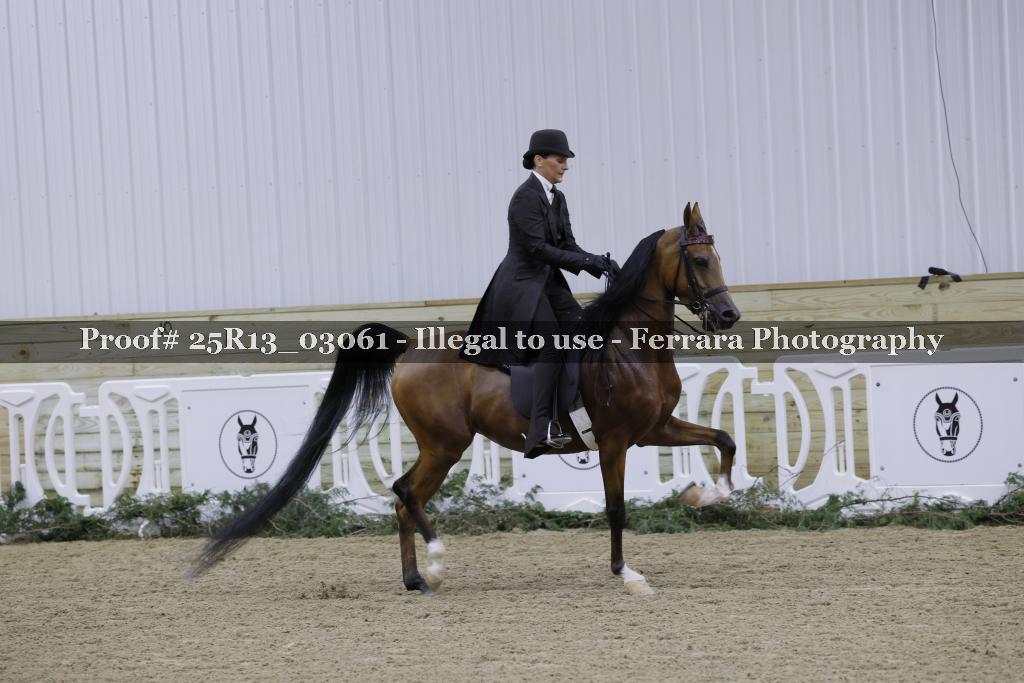 Proof 25R13_03061