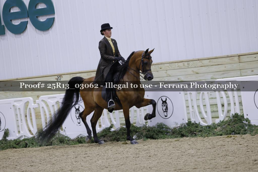 Proof 25R13_03062