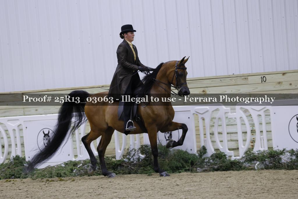 Proof 25R13_03063